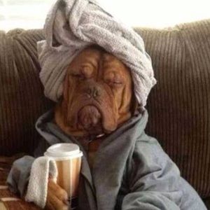 Meet your Posher, Patti